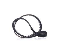 Febi-Bilstein 11229 - Cinghia Dentata