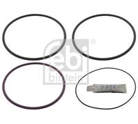 FEBI BILSTEIN 11758 Kit guarnizioni, Canna cilindro per VOLVO