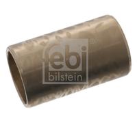 FEBI BILSTEIN 12352 Bronzina cuscinetto, Molla a balestra per DAF