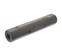 Febi-Bilstein 12356 - Perno Estremo