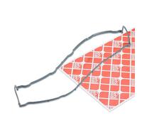 JP043 Guarnizione, Copritestata (PAYEN)