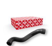 FEBI BILSTEIN Flessibile radiatore 12634 - Gomma, sinistro (in alto) - per BMW E32/E34 M60 V8