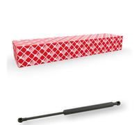 FEBI BILSTEIN Ammortizzatore pneumatico cofano motore 12641 bilaterale per BMW 7