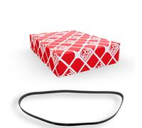 FEBI BILSTEIN 14364 Cinghia dentata