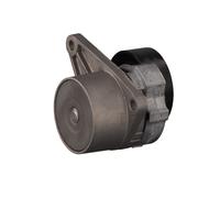 FEBI BILSTEIN 14377 Tenditore cinghia servizi