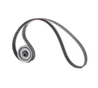 FEBI BILSTEIN 14602 Kit cinghia di distribuzione