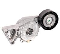 FEBI BILSTEIN 14714 Tendicinghia, Cinghia Poly-V per AUDI,SEAT,SKODA,VW