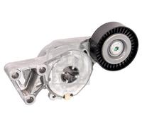 FEBI BILSTEIN 14714 Tenditore Cinghia, Cinghia A V Per AUDI, SEAT, SKODA, VW