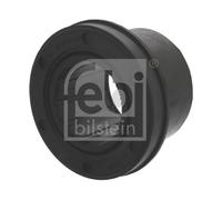 FEBI BILSTEIN 15505 Supporto, Braccio oscillante per SETRA