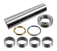 FEBI BILSTEIN 15899 Kit riparazione, Perno fuso a snodo