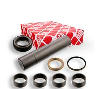FEBI BILSTEIN 15905 Kit riparazione, Perno fuso a snodo