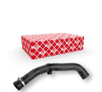 Tubo flessibile del radiatore FEBI BILSTEIN 170441