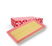 FEBI BILSTEIN 170738 Filtro aria