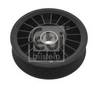 FEBI BILSTEIN 17074 Puleggia Di Guida/Deflessione, Cinghia A V Per AUDI, VW