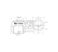 FEBI BILSTEIN 170930 Soffietto Sospensione pneumatica con pistone Anteriore