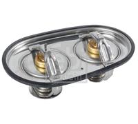 FEBI BILSTEIN 171127 Termostato, refrigerante per SCANIA