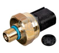 FEBI BILSTEIN 171880 Sensore, Pressione carburante per MAYBACH,MERCEDES-BENZ