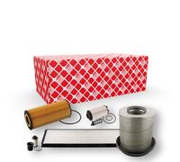 FEBI BILSTEIN 172621 Kit tagliando