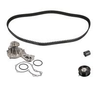 FEBI BILSTEIN 172669 Kit cinghia distribuzione, pompa acqua