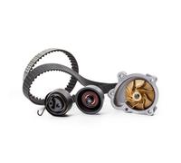 FEBI BILSTEIN 173021 Kit cinghia distribuzione, pompa acqua