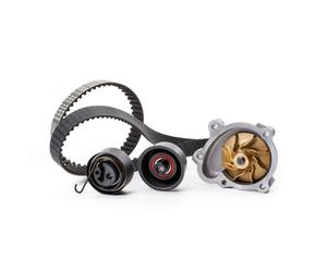 FEBI BILSTEIN 173021 Kit cinghia distribuzione, pompa acqua