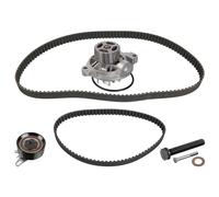 FEBI BILSTEIN 173211 Kit cinghia distribuzione, pompa acqua