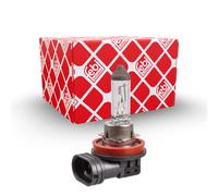 FEBI BILSTEIN 173288 Lampadina, Fendinebbia