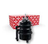 FEBI BILSTEIN 173998 Cilindro accumulazione energia a molla