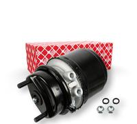 FEBI BILSTEIN 174001 Cilindro accumulazione energia a molla