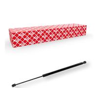 FEBI BILSTEIN 174976 Ammortizatore pneumatico Cofano bagagli / vano carico 578mm