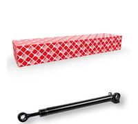 FEBI BILSTEIN 175362 Cilindro ribaltamento, Cabina