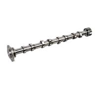 FEBI BILSTEIN 175581 Albero a camme
