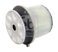 FEBI BILSTEIN 175671 SUPPORTO, CORPO ASSIALE