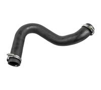 FEBI BILSTEIN 175705 Flessibile aria alimentazione per FORD C-MAX (DM2)