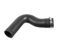 Tubo condotto aria Intercooler AEM (gomma etilene acrilato) 175707 FEBI BILSTEIN