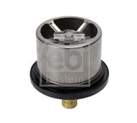 FEBI BILSTEIN 176580 Termostato, refrigerante per DAF