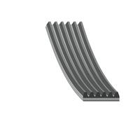 FEBI BILSTEIN 176582 Cinghia servizi