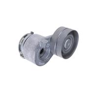 FEBI BILSTEIN 176583 Tenditore cinghia servizi