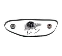FEBI BILSTEIN 176604 Kit cinghia distribuzione, pompa acqua