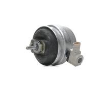 FEBI BILSTEIN 176956 Supporto motore