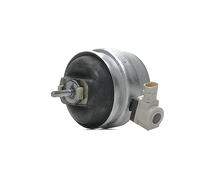 FEBI BILSTEIN 176956 Supporto motore