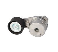 FEBI BILSTEIN 177687 Tenditore cinghia servizi