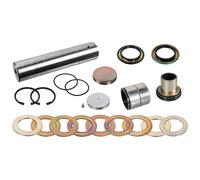 FEBI BILSTEIN 177908 Kit riparazione, Perno fuso a snodo