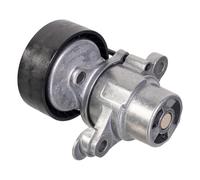 FEBI BILSTEIN 177971 Tenditore cinghia servizi