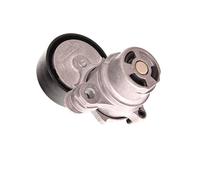 FEBI BILSTEIN 177971 Tenditore cinghia servizi