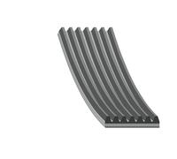 FEBI BILSTEIN 177988 Cinghia servizi