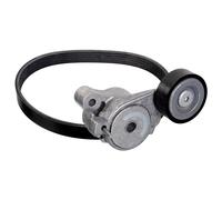 FEBI BILSTEIN 177999 Kit Cinghie Poly-V