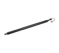 Molla a gas bagagliaio posteriore Sx 179404 FEBI BILSTEIN per FORD KUGA II