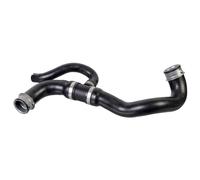 FEBI BILSTEIN 179482 Flessibile radiatore