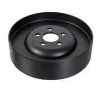 FEBI BILSTEIN 179536 Puleggia cinghia, Alternatore